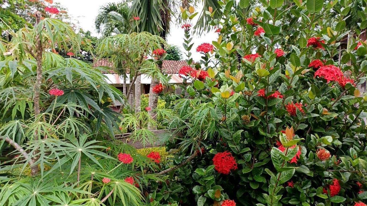 Finca Magdalena Eco Lodge Balgue Luaran gambar