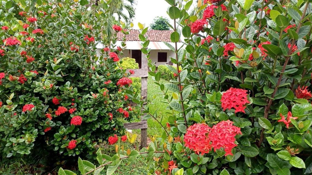 Finca Magdalena Eco Lodge Balgue Luaran gambar