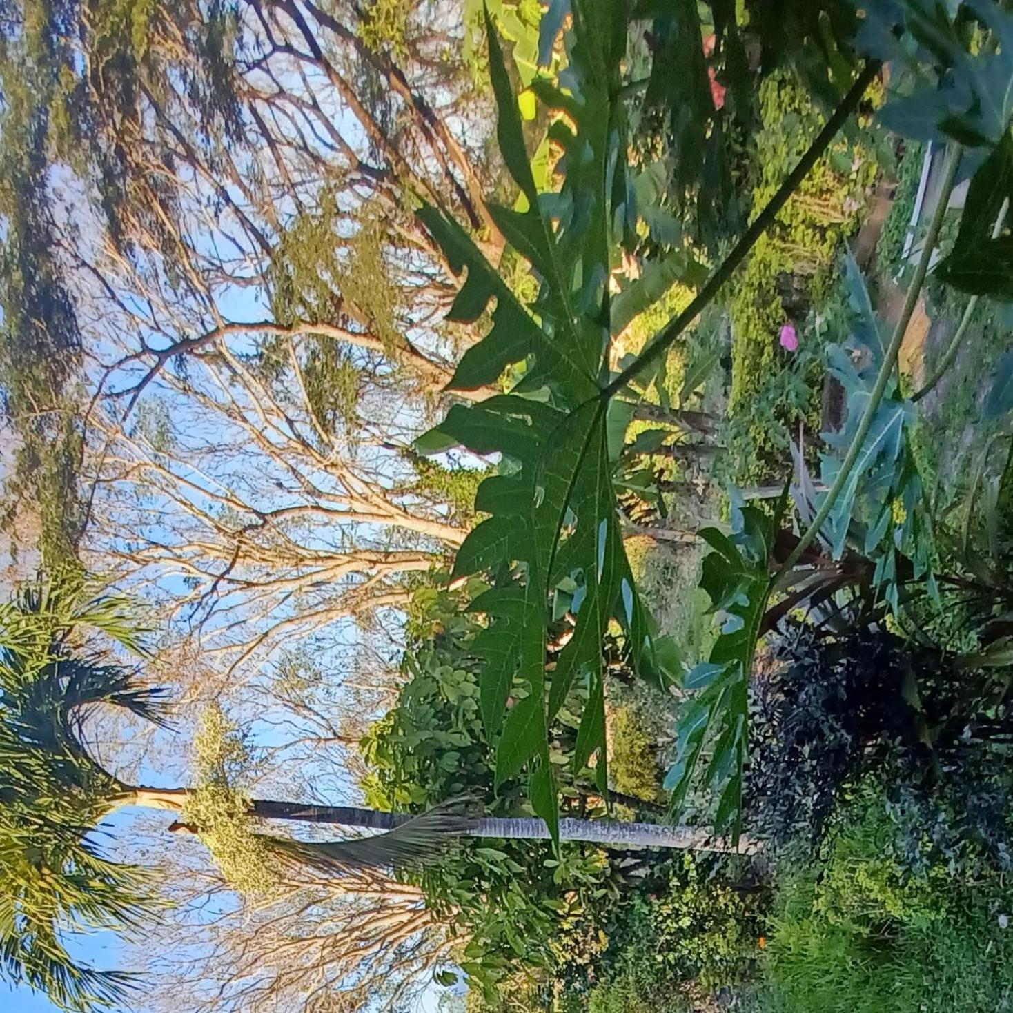 Finca Magdalena Eco Lodge Balgue Luaran gambar