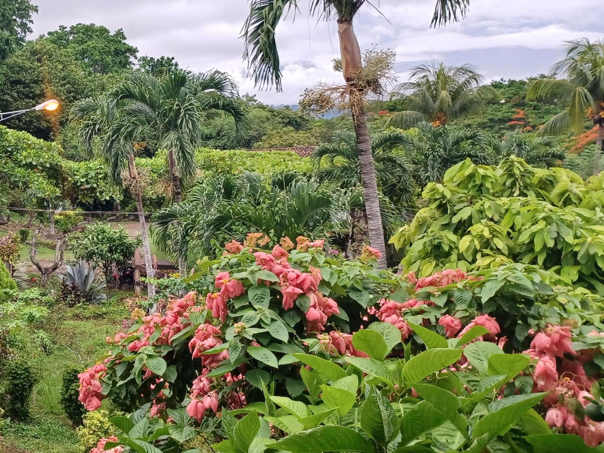 Finca Magdalena Eco Lodge Balgue Bilik gambar